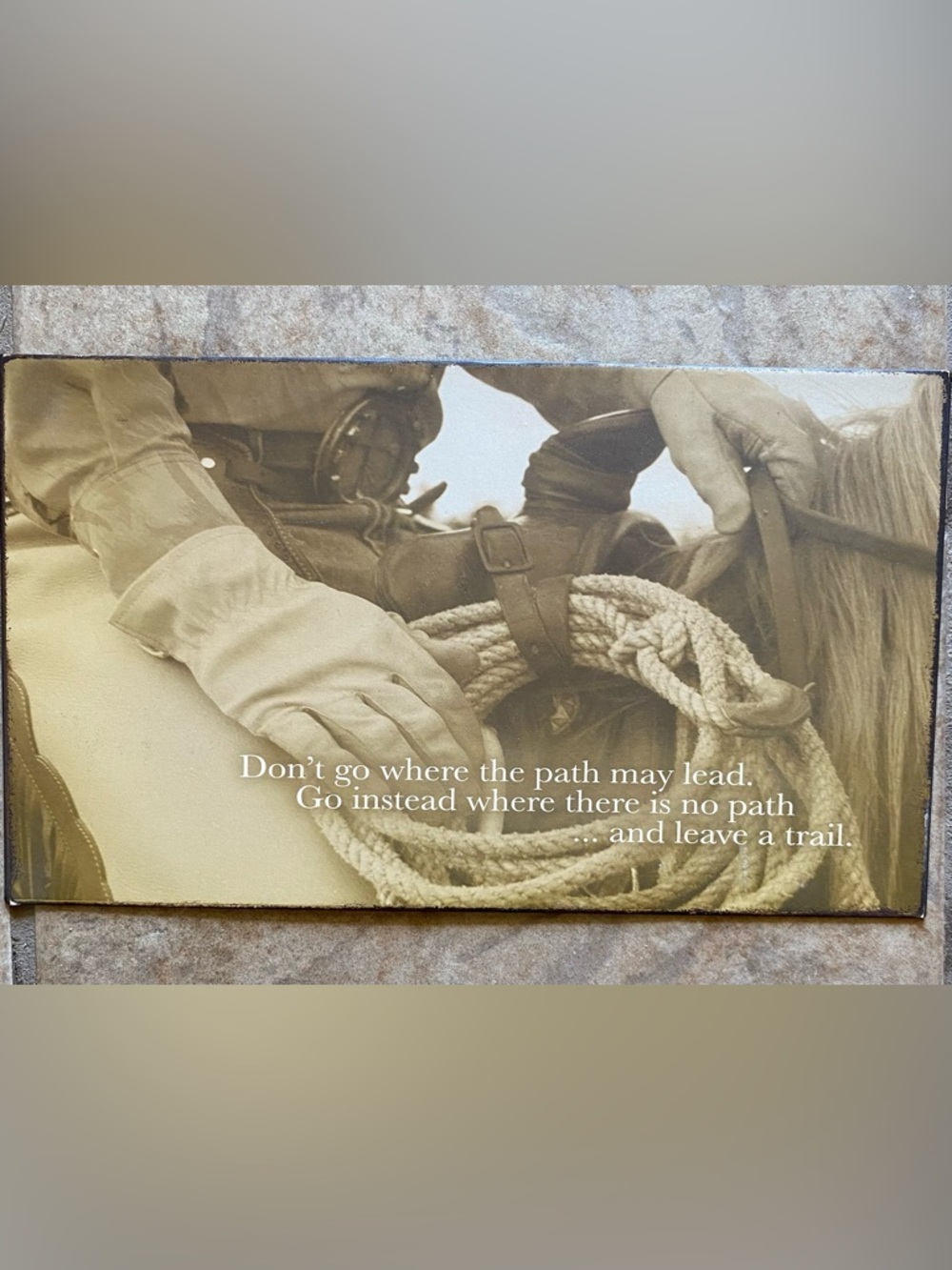 Vintage Western Cowboy Rope & Glove Wall Art - Sepia Brown